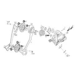 Poulies SRAM XX1 Céramique